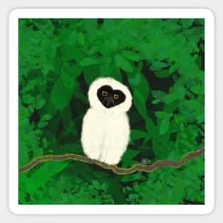 Spectacled owl baby Sticker